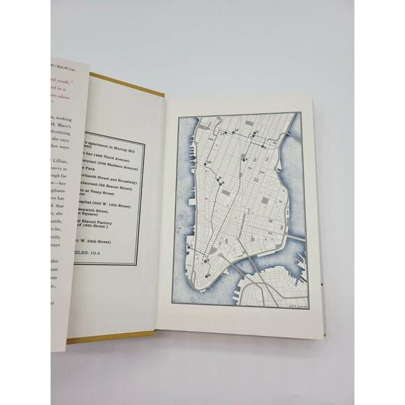 Lillian Boxfish Takes a Walk by Kathleen Rooney (2017, Hardcover) First Edition - Picture 2 of 7